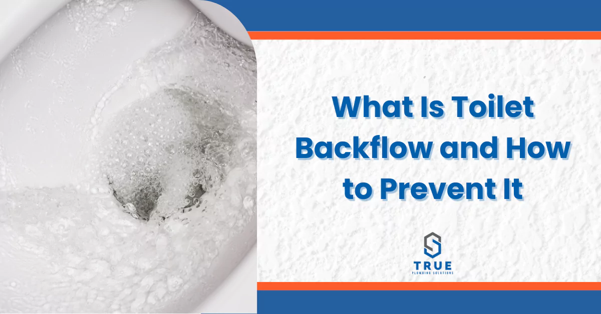 what is toilet backflow and how to prevent it 1