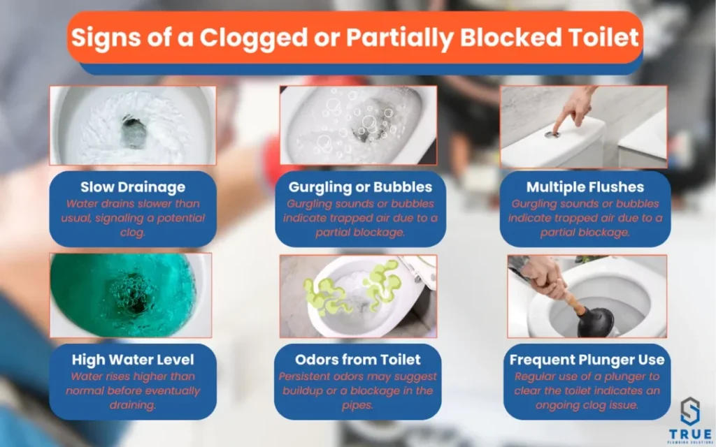 common causes of a clogged toilet and how to prevent them1